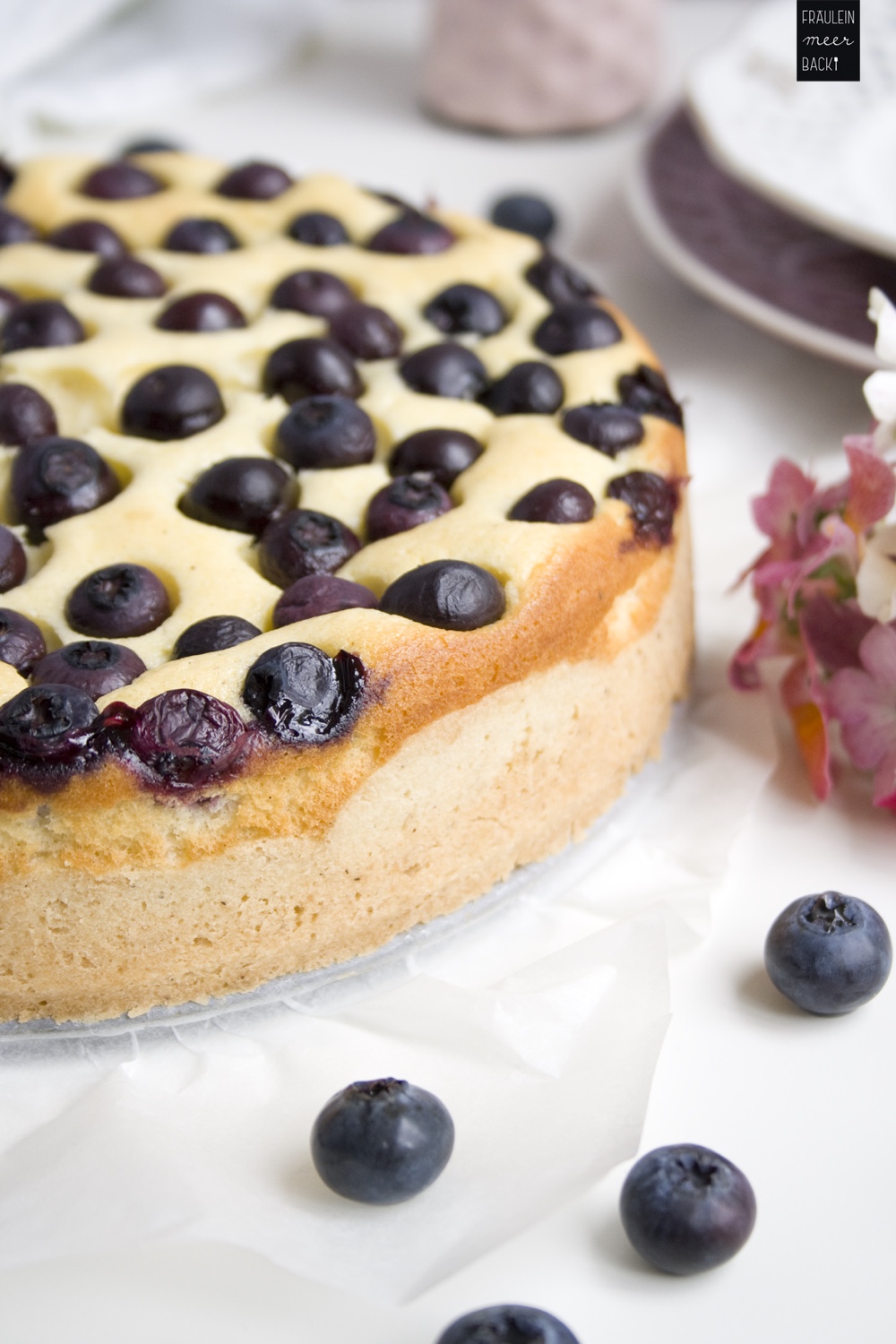 fraeulein-meer-backt-kaesekuchen-mit-blaubeeren