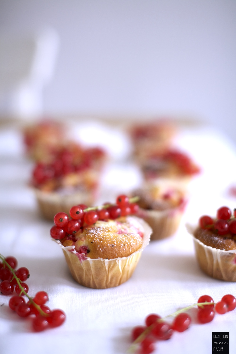 fraeulein-meer-backt-johannisbeer-muffins