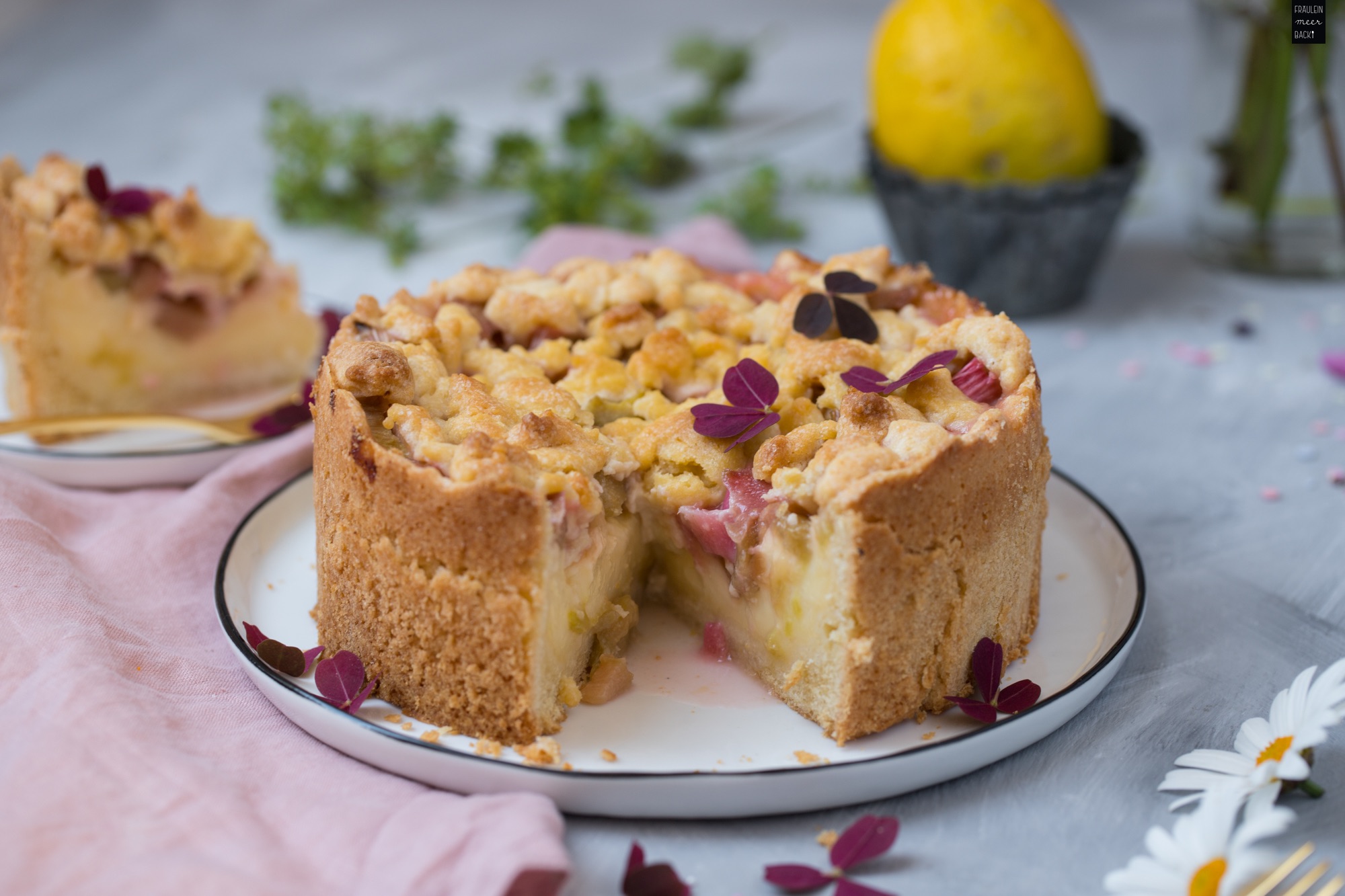 Rhabarber-Pudding-Kuchen mit Streuseln - Fräulein Meer backt