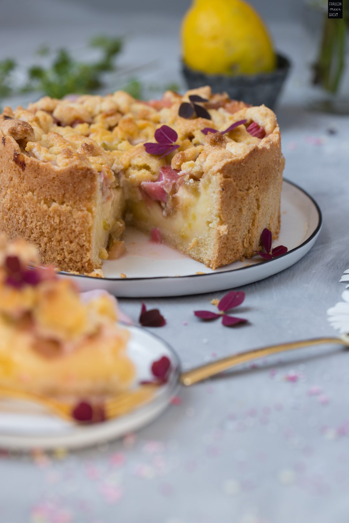 Rhabarber-Pudding-Kuchen mit Streuseln - Fräulein Meer backt