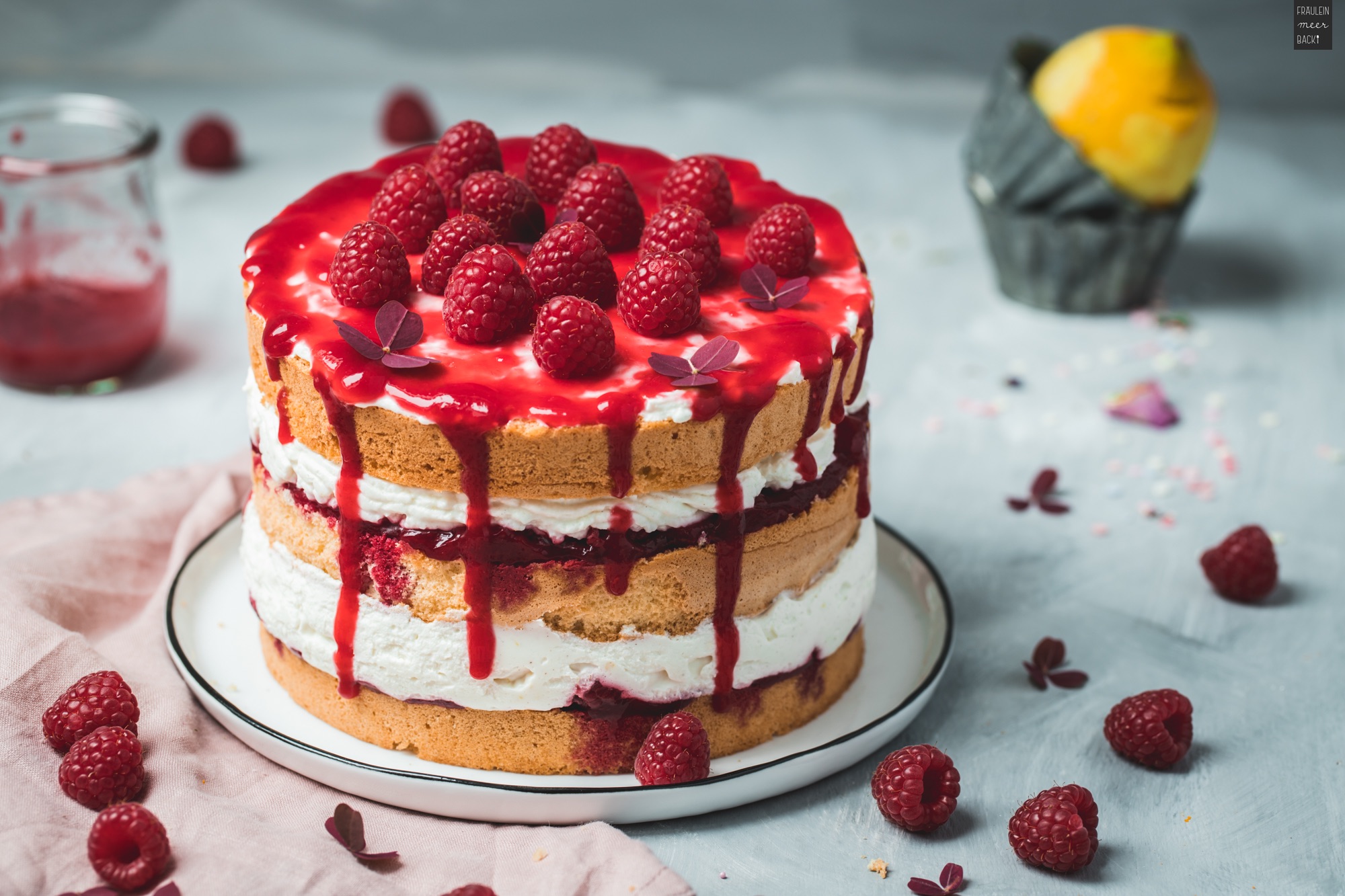 Himbeer-Biskuit-Torte - Fräulein Meer backt